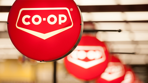 About Your Co Op Discovery Co Op